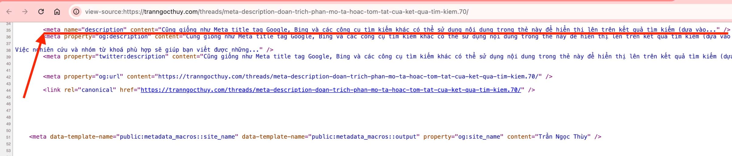 Meta Description (Đoạn trích): phần mô tả hoặc tóm tắt của kết quả tìm kiếm