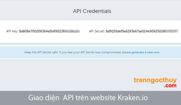Giao diện API website Kraken.io