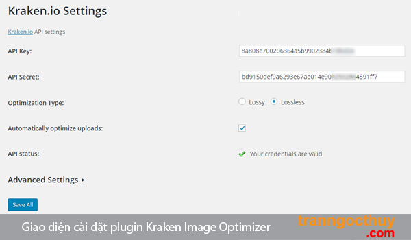 Giao diện cài đặt plugin Kraken Image Optimizer