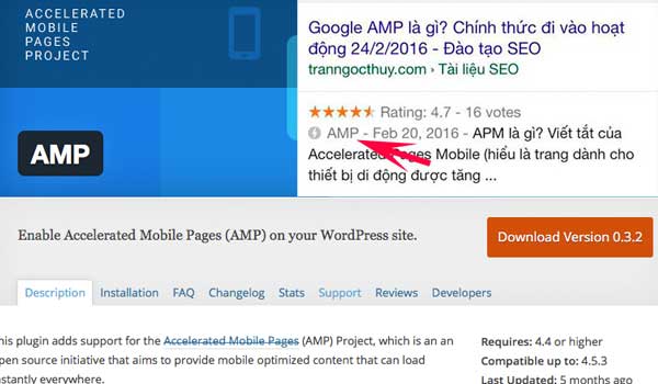 Hướng dẫn cài Google AMP, chèn Google Analytics cho web AMP