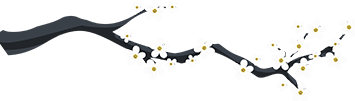 hoa đào tết